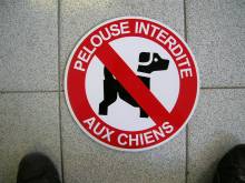 Notre zone d'activité pour ce service Devis pour le semi covering de véhicules